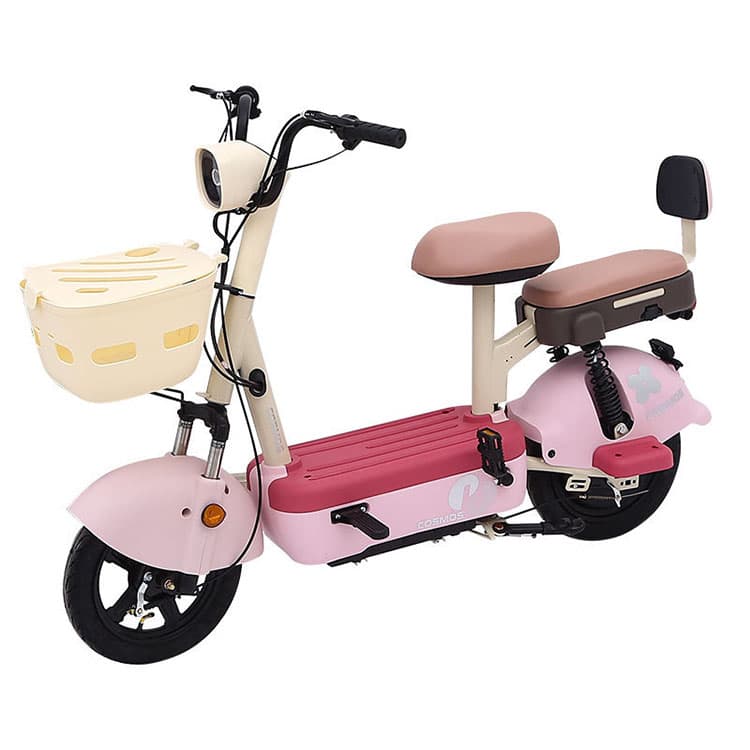 Light Weight Electric Bike 48V Lead Acid Battery JY02