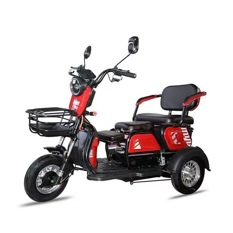 Passenger  Electric Tricycle 600W JY15