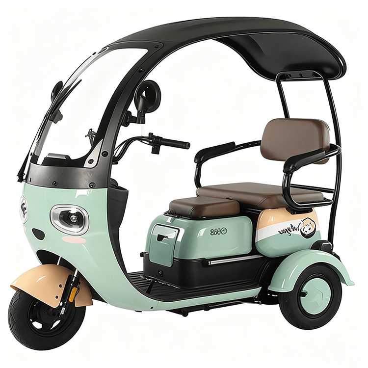 Newly Electric Tricycle with Integrated Canopy JY22
