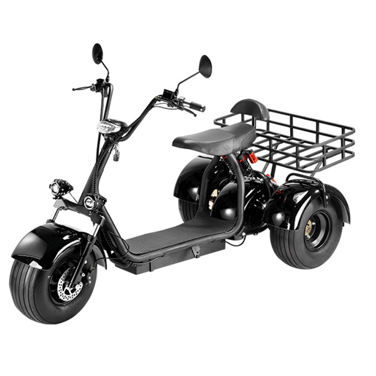 Harley-Davidson-Inspired Electric Tricycle JY31
